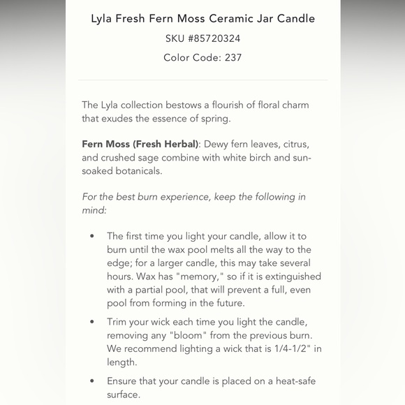 Lyla Fern Moss candle in a jar - Picture 3 of 5